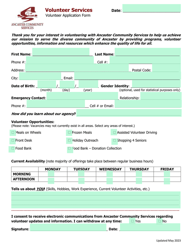 Volunteer Application Form screenshot
