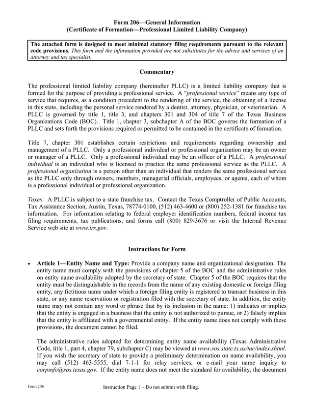 Form 206General Information (Certificate Of FormationProfessional Limited Liability Company) screenshot