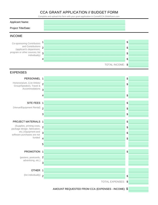 CCA GRANT APPLICATION  BUDGET FORM screenshot