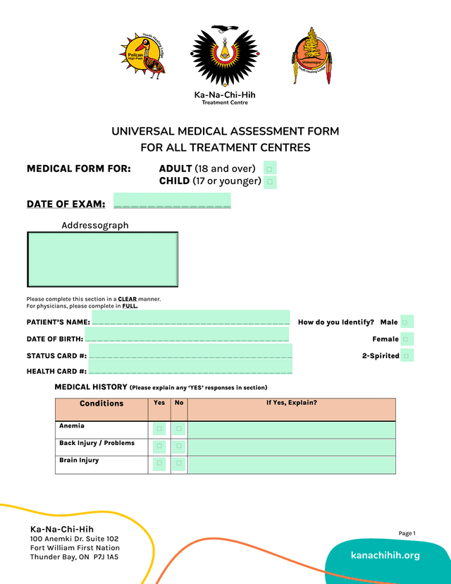 UNIVERSAL MEDICAL ASSESSMENT FORM FOR ALL TREATMENT CENTRES screenshot