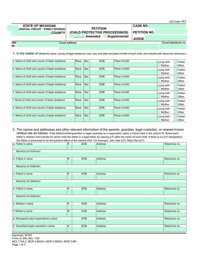 Petition (Child Protective Proceedings) screenshot