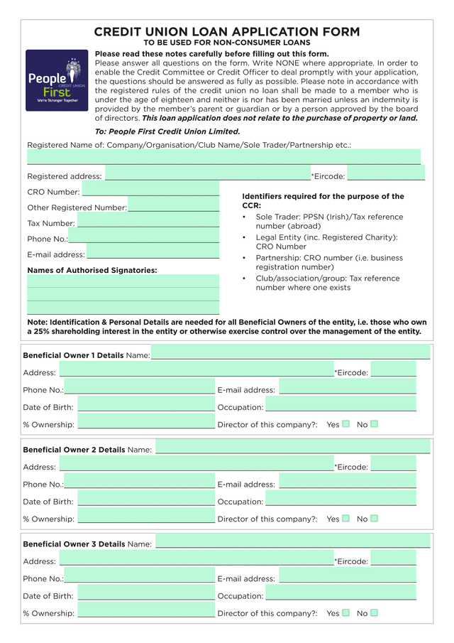 Credit Union Loan Application Form screenshot