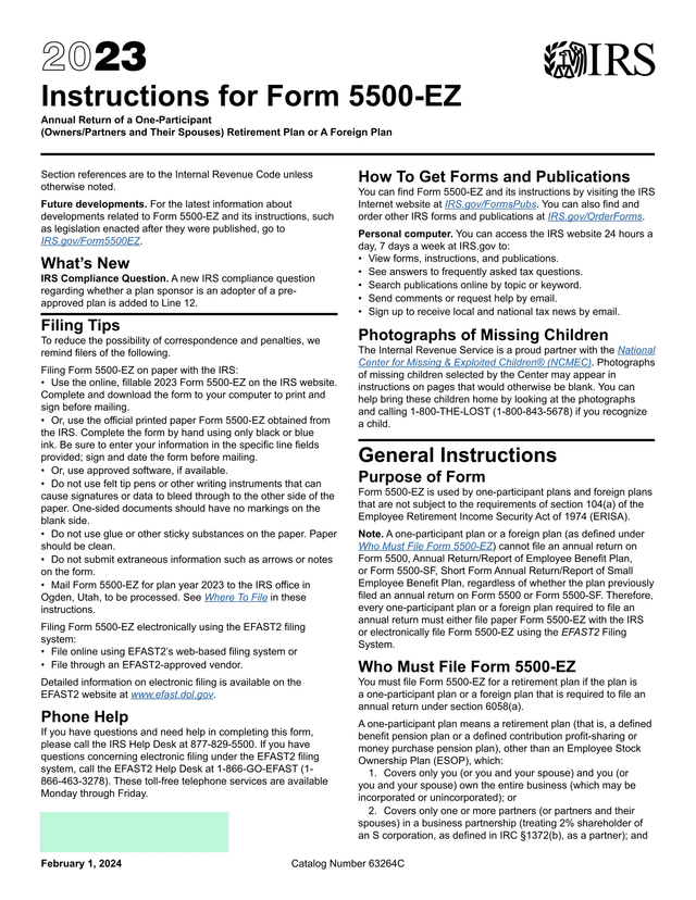 Form 5500 EZ Instructions screenshot