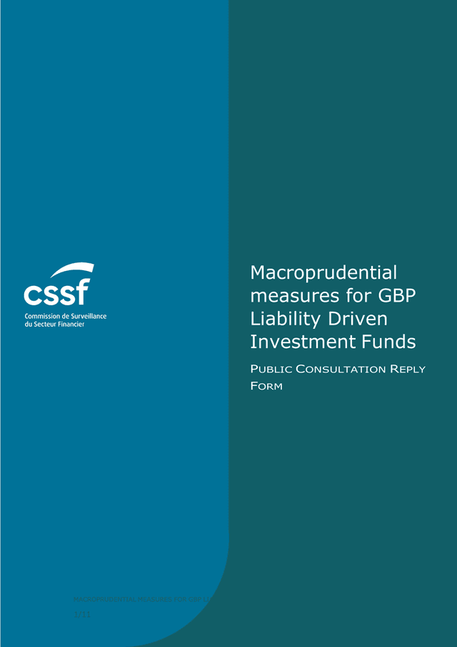 Macroprudential Measures For GBP Liability Driven Investment Funds Public Consultation Reply Form screenshot