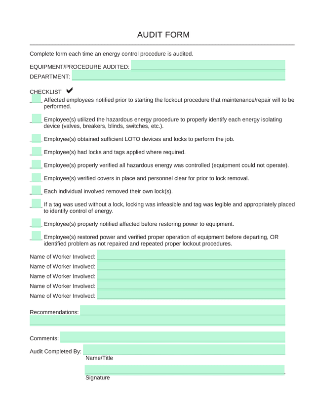AUDIT FORM screenshot