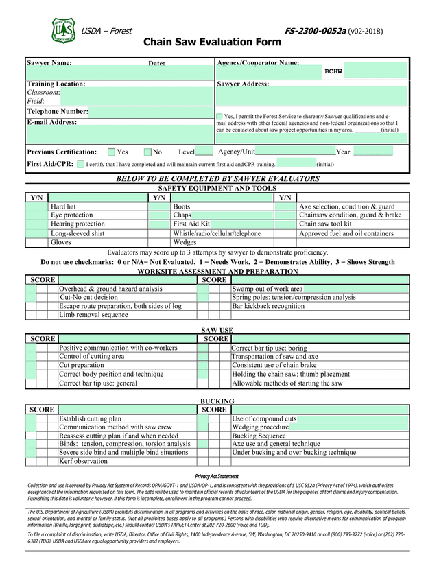 Chain Saw Evaluation Form screenshot
