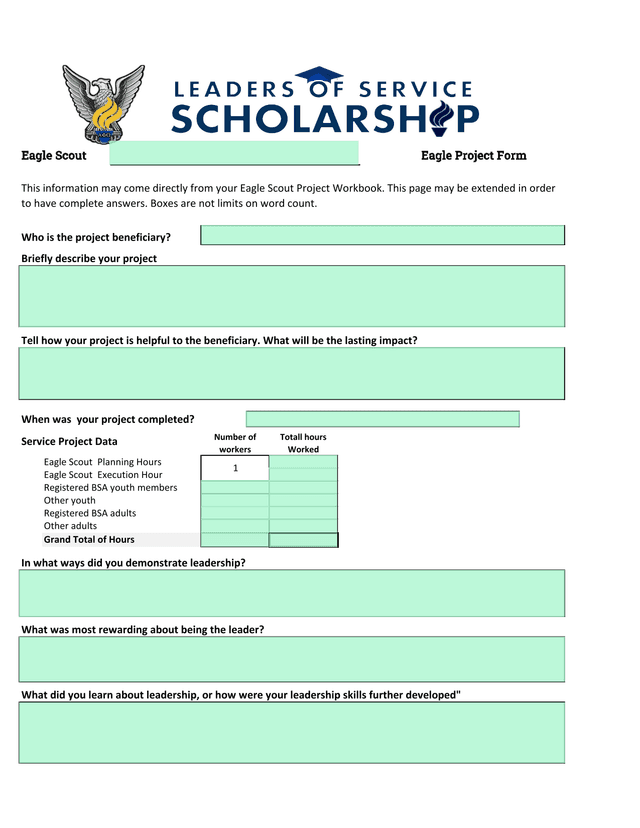 Eagle Scout Project Form screenshot