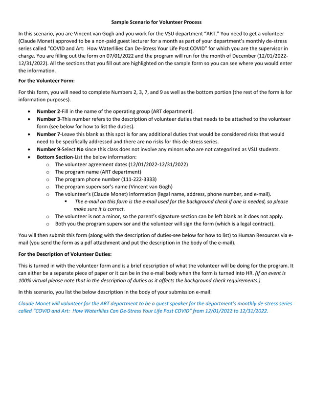 Volunteer Process Form screenshot