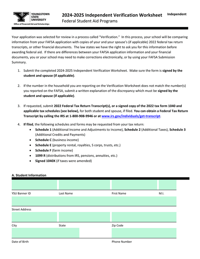 2024 2025 Independent Verification Worksheet screenshot