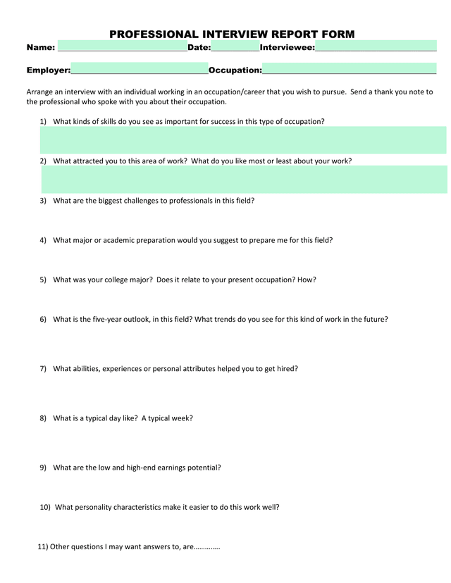 Professional Interview Report Form screenshot