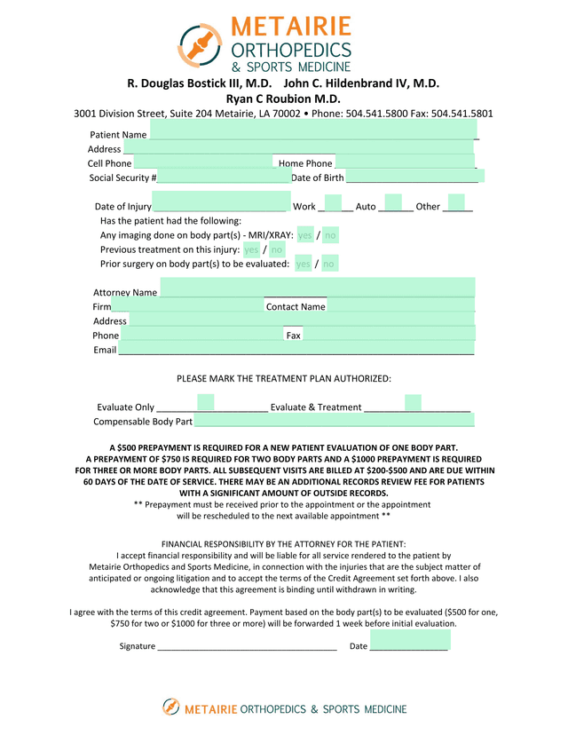 Patient Medical Intake Form screenshot