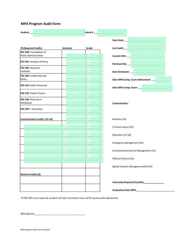 MPA Program Audit Form screenshot