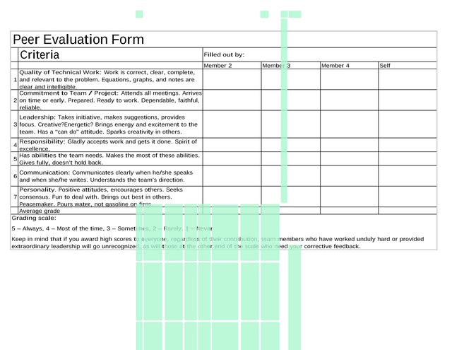Peer Evaluation Form screenshot
