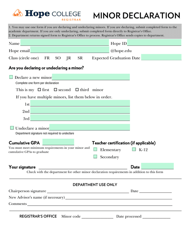Minor Declaration Form screenshot