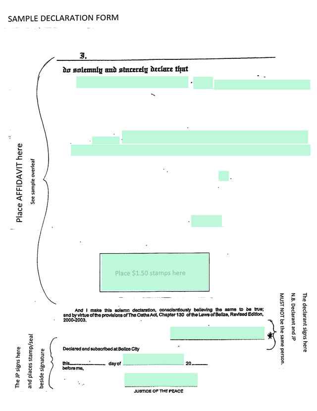 Sample Affidavit screenshot