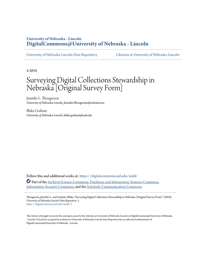 Surveying Digital Collections Stewardship In Nebraska Original Survey Form screenshot