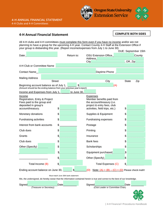 4 H Annual Financial Statement screenshot