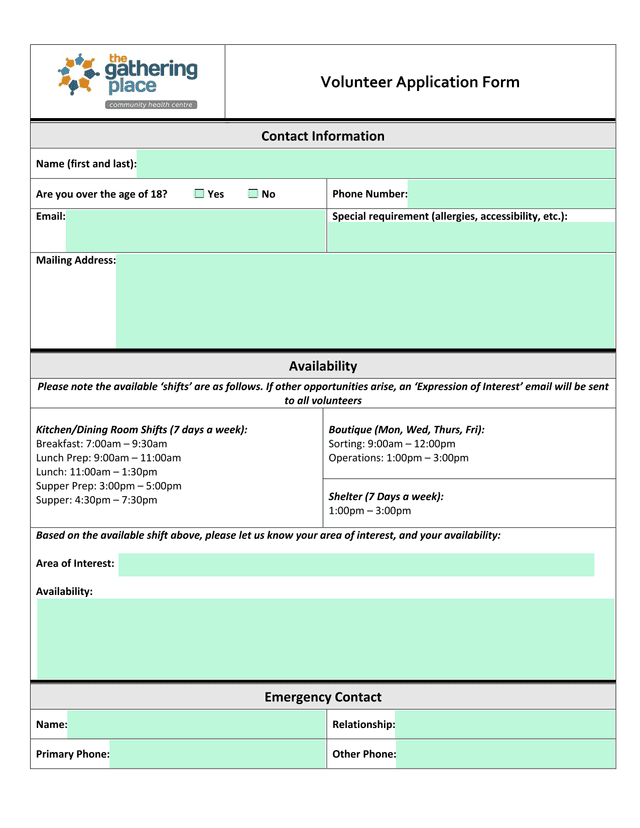 Volunteer Application Form screenshot