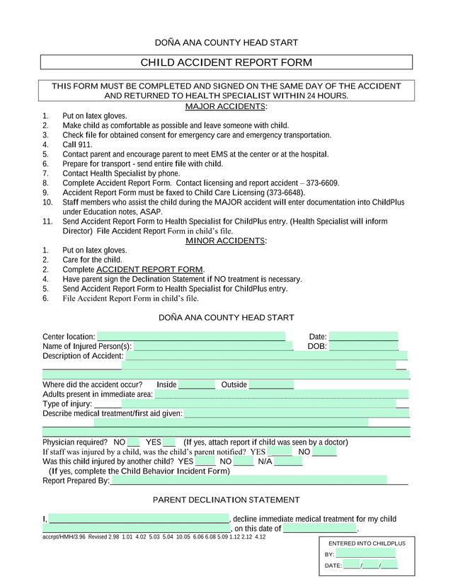 Child Accident Report Form screenshot