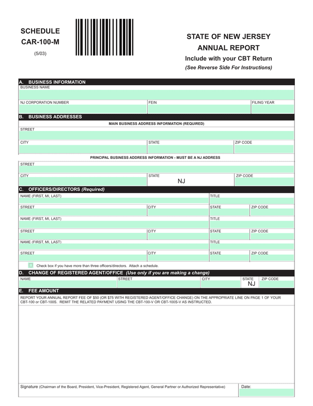 NJ ANNUAL REPORT (CAR 100 M) screenshot