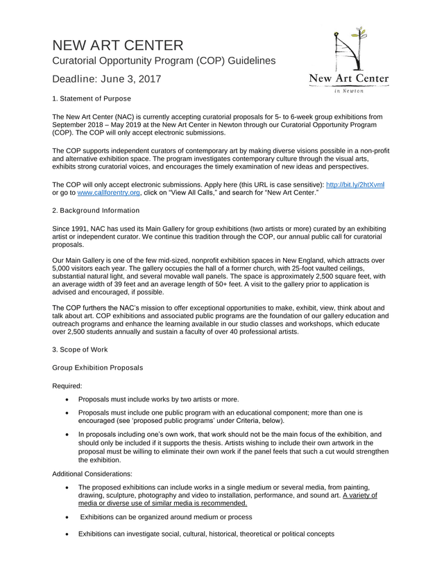 Curatorial Opportunity Program (COP) Guidelines screenshot