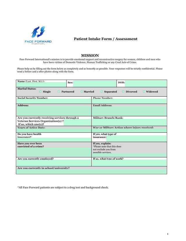 Patient Intake Form  Assessment screenshot