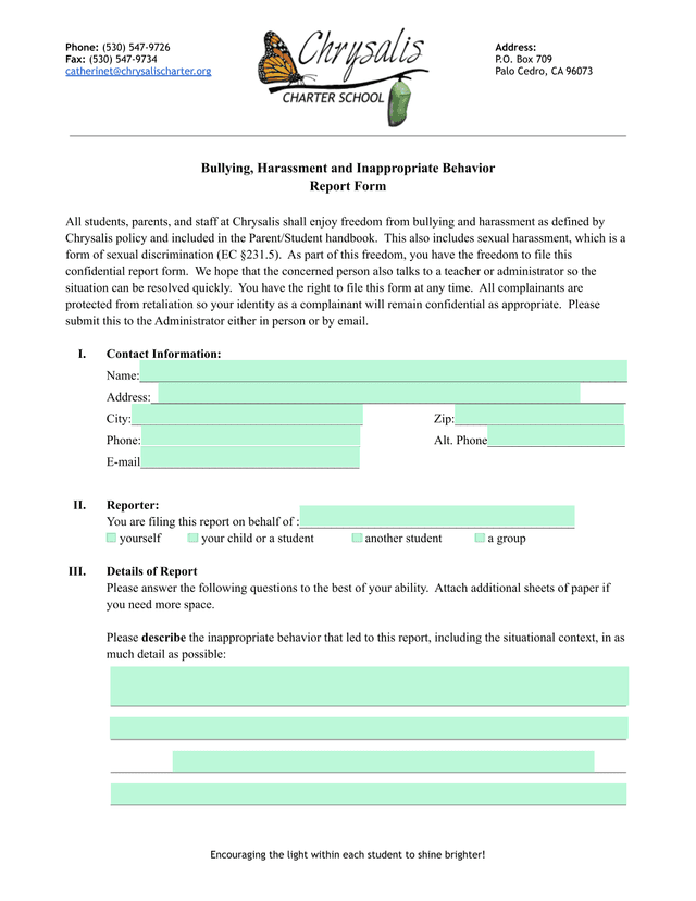 Bullying, Harassment And Inappropriate Behavior Report Form screenshot