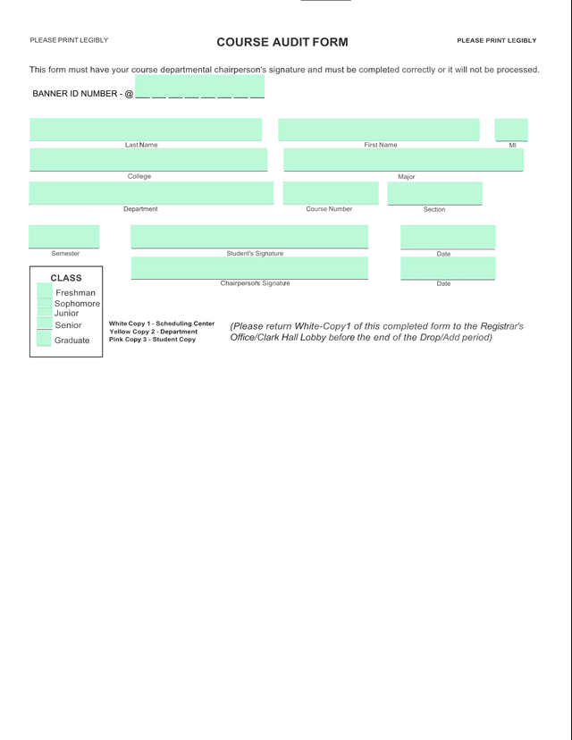 Course Audit Form screenshot