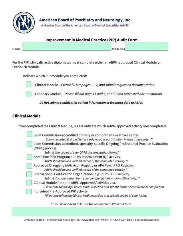 Improvement In Medical Practice (PIP) Audit Form screenshot