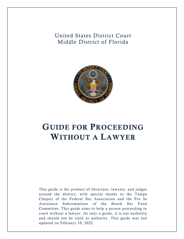 Guide For Proceeding Without A Lawyer screenshot