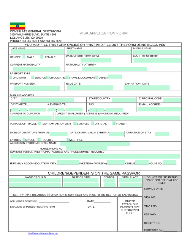 VISA APPLICATION FORM screenshot