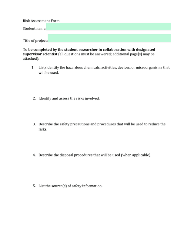 Risk Assessment Form screenshot
