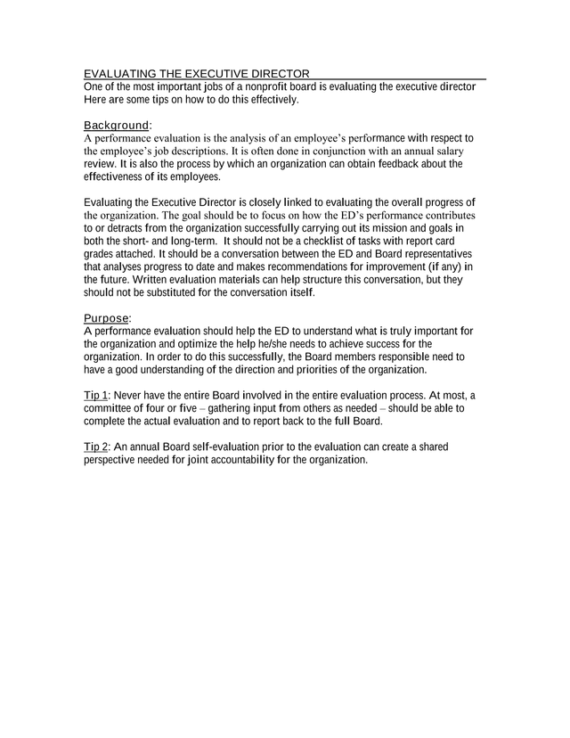 Evaluating The Executive Director screenshot