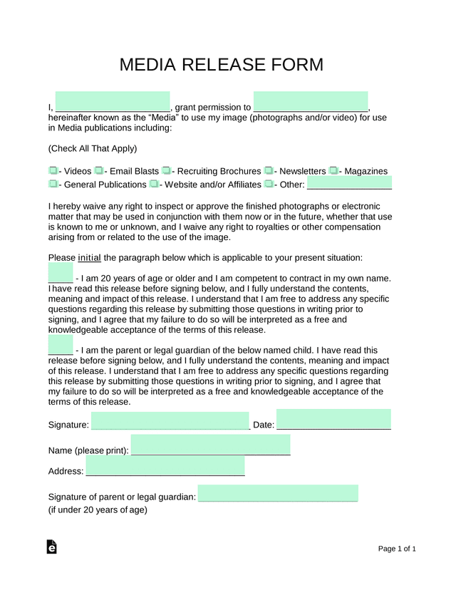 MEDIA RELEASE FORM screenshot