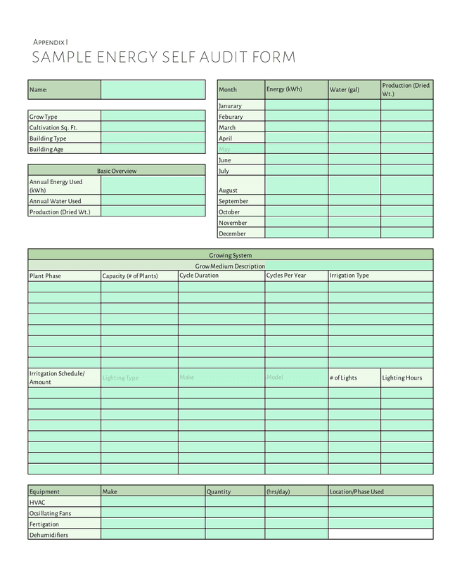 Energy Self Audit Form screenshot