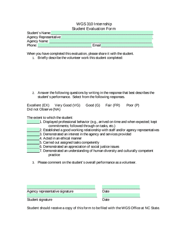 WGS 310 Internship Student Evaluation Form screenshot