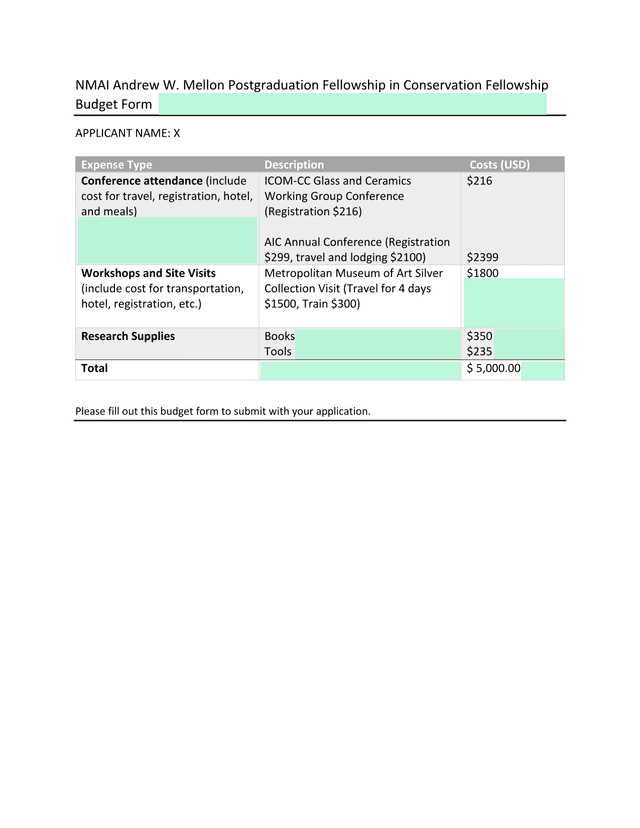 NMAI Andrew W. Mellon Postgraduation Fellowship In Conservation Fellowship Budget Form screenshot