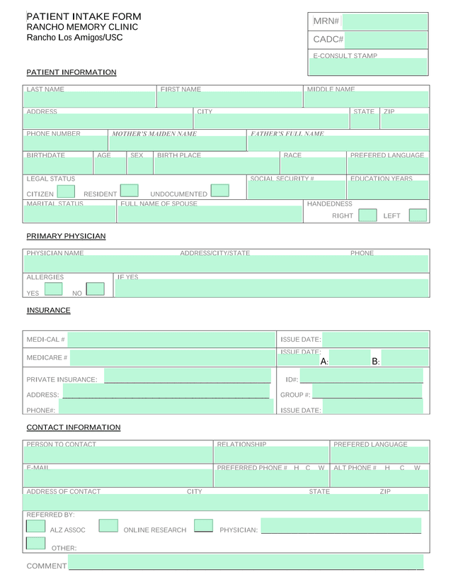Patient Intake Form screenshot