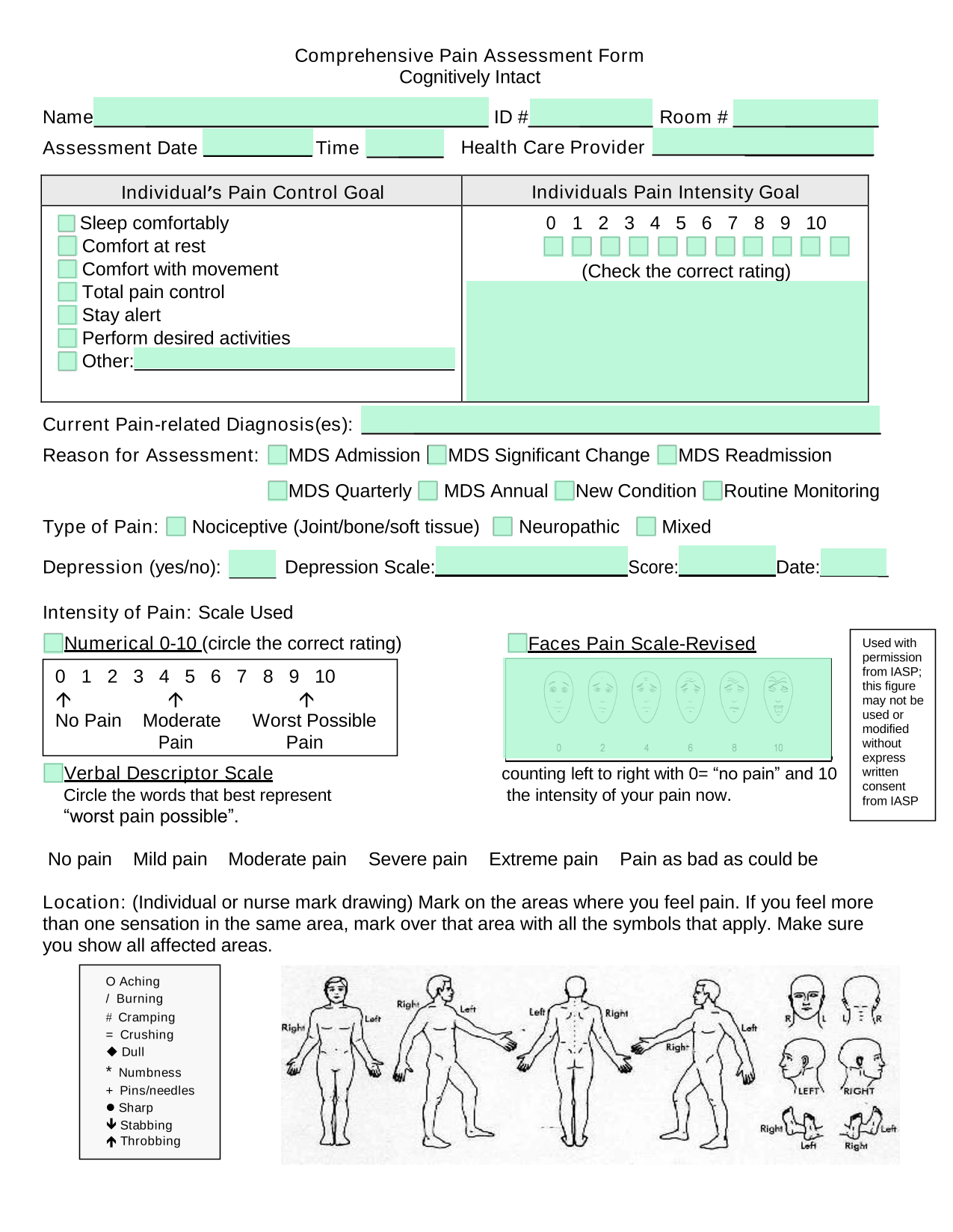 Comprehensive Pain Assessment Form screenshot