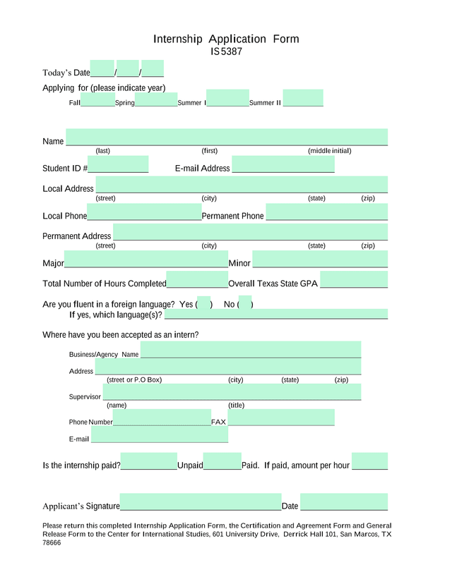 Internship Application Form screenshot