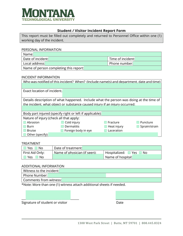 Student  Visitor Incident Report Form screenshot