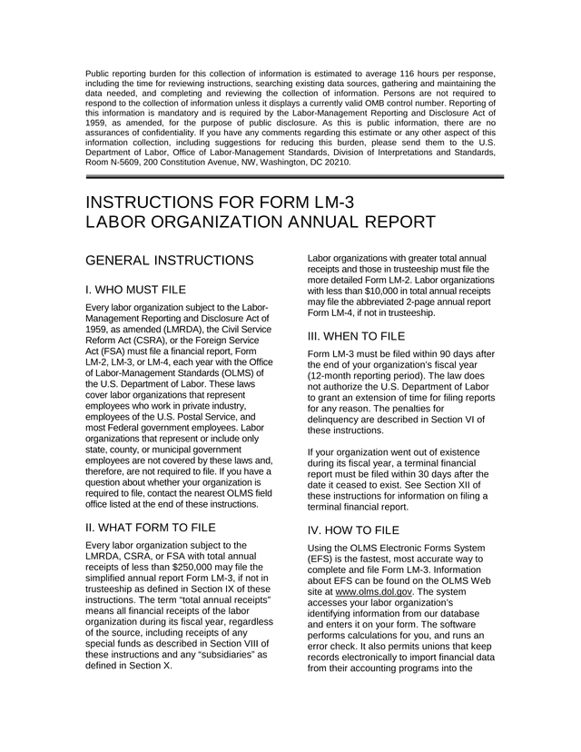 Form LM 3 Labor Organization Annual Report screenshot