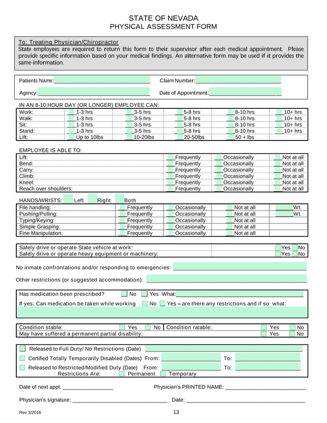 STATE OF NEVADA PHYSICAL ASSESSMENT FORM screenshot