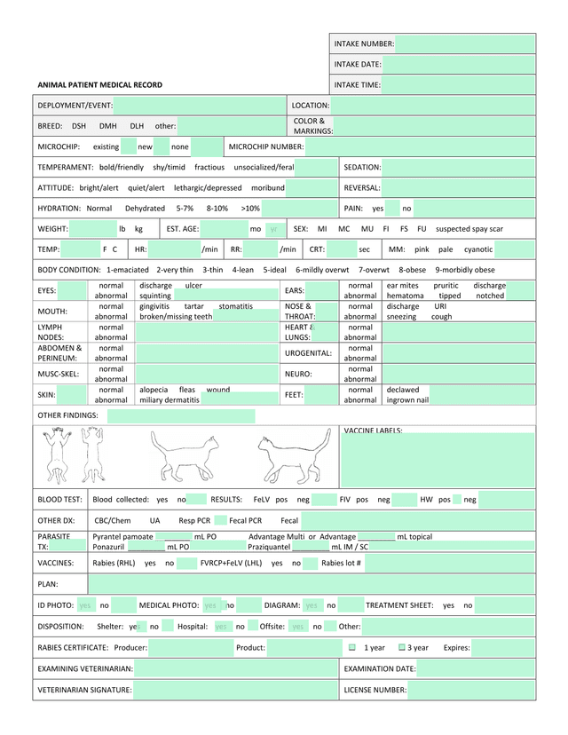Animal Patient Medical Record screenshot
