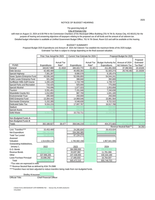 2025 Budget Summary screenshot