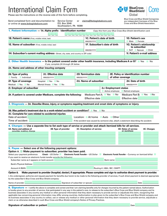 Blue Cross Blue Shield Insurance Claim Form screenshot
