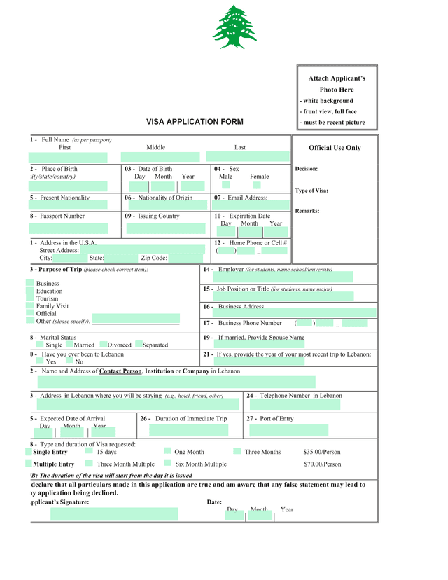 VISA APPLICATION FORM screenshot