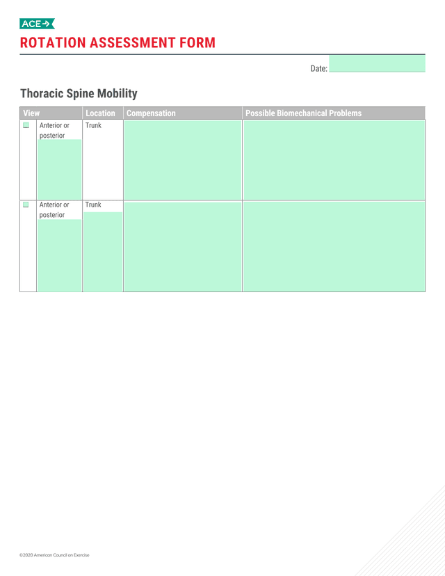Rotation Assessment Form screenshot