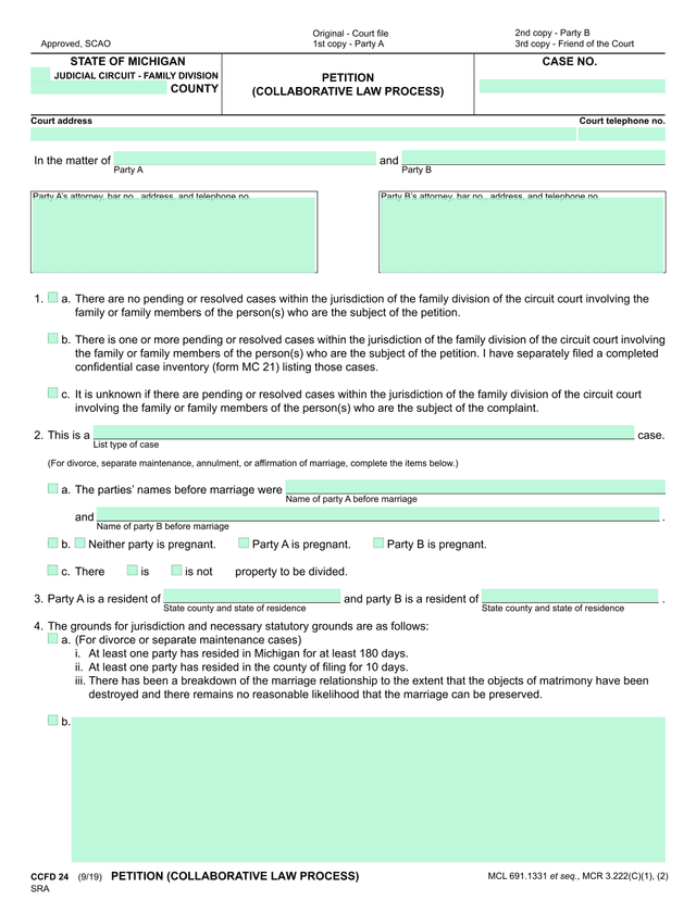 Petition (Collaborative Law Process) screenshot