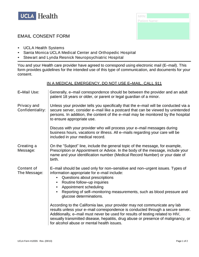EMAIL CONSENT FORM screenshot